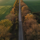 A white car driving on a tree-lined road in a remote area.